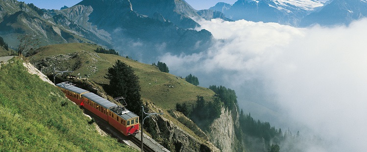 Swiss-Bernese